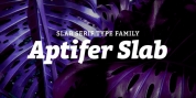 Aptifer Slab font download