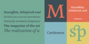 Cardamon font download