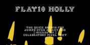 Flat10 Holly font download