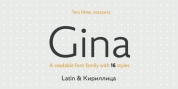 Gina font download
