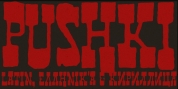 Pushki Pro font download