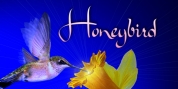 Honeybird font download