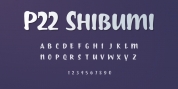 P22 Shibumi font download