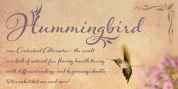 Hummingbird font download