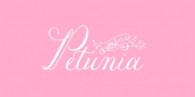 Petunia font download