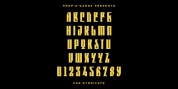 PAG Syndicate font download