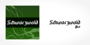 Schwarzwald Pro font download
