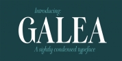 Galea Display font download