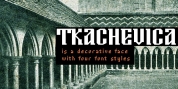 Tkachevica font download