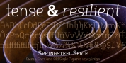 Springsteel Serif font download
