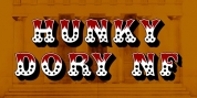 Hunky Dory NF font download