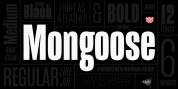 Mongoose font download