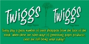 Twiggs font download