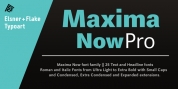 Maxima Now Pro font download