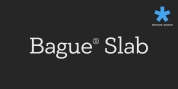 PF Bague Slab Pro font download