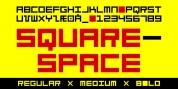 TPG SquareSpace font download