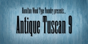 HWT Antique Tuscan 9 font download