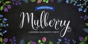 Mulberry Script font download