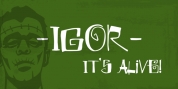 Igor font download