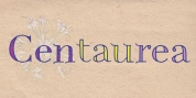 Centaurea font download