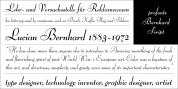 Bernhard Script font download