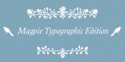 Magpie Typo font download