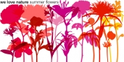 We Love Nature Summer Flowers font download