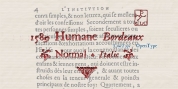 1589 Humane Bordeaux font download