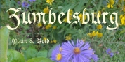 Zumbelsburg font download