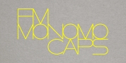 FM Monomo font download