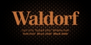 Waldorf Pro font download