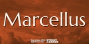 Marcellus Pro font download