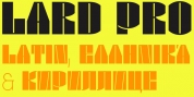 Lard Pro font download