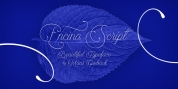 Encina Script font download