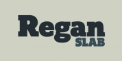Regan Slab font download