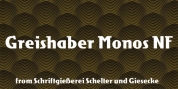 Grieshaber Monos NF font download