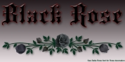Black Rose font download