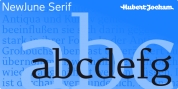 NewJune Serif font download