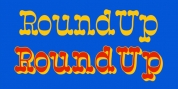Roundup font download