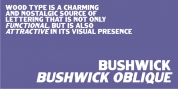 Bushwick JNL font download
