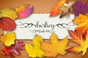 Shurtiey font download