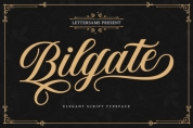 Bilgate font download