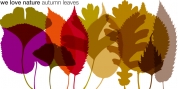 We Love Nature Autumn Leaves font download