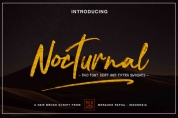 Nocturnal Script font download