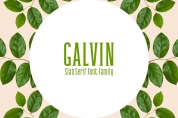 Galvin Family Pack font download