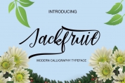 Jackfuit font download