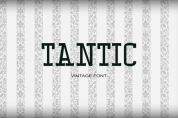 Tantic font download