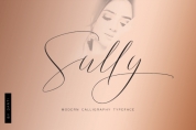 Sully font download