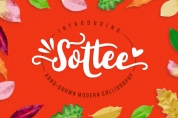 Sottee font download
