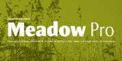 Meadow Pro font download